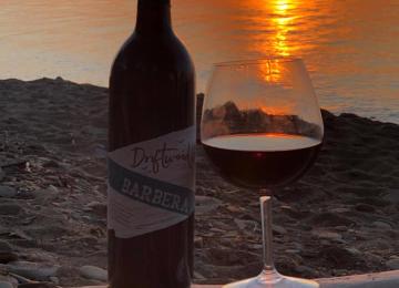 101022341 284947642899455 8722328590986772480 N